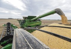 How bad off will soybean farmers be this year?